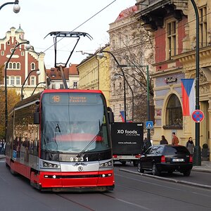 PB011493o.JPG