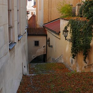 P1030237n.JPG