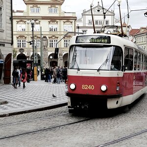 P1030273n.JPG