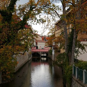P1030294n.JPG