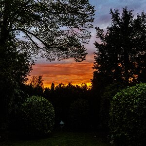 TZ_DSC02735_A.jpg