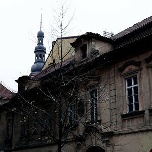 P1030123n.JPG