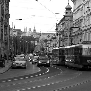 P1030611n.JPG