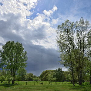DSC_6405.JPG