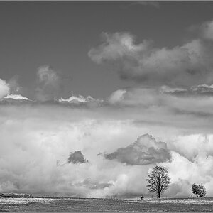D75_3300-2.jpg