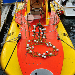 DSC_8387.jpg