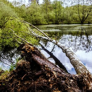 TZ_DSC02785_A.jpg