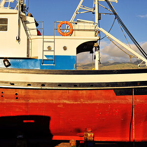 DSC_4440.jpg