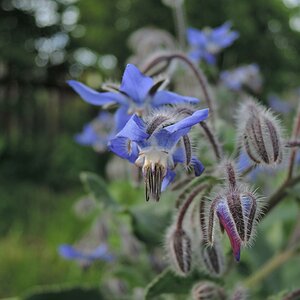 DSCN3152 (2)n.JPG