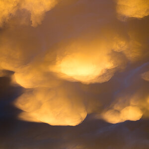Z62_1216.jpg