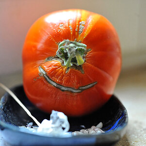 Tomaten-Zyclop.jpg