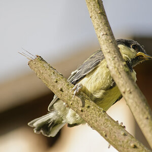 _DSC9198NF.jpg