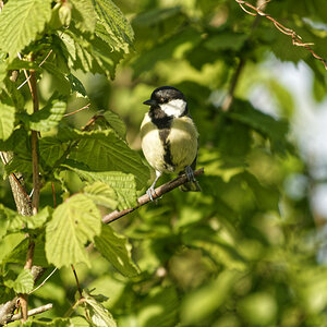 _DSC9187NF.jpg