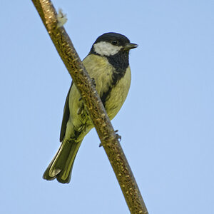 _DSC9191NF.jpg