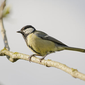 _DSC9202NF.jpg