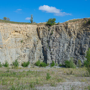 OF2_44044.jpg