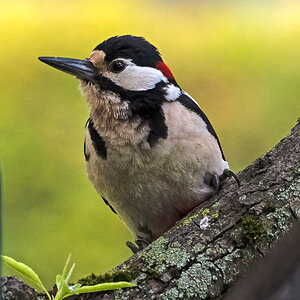 NIKON Z 7_2_2021_05_25_06_38_Z72_0983 (2).jpg