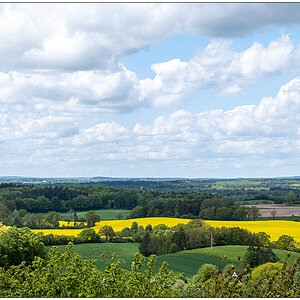 230 Schleswig-Holsteinische Schweiz – Blick vom Holzbergturm bei Malente I