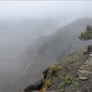 _DS24381.jpg