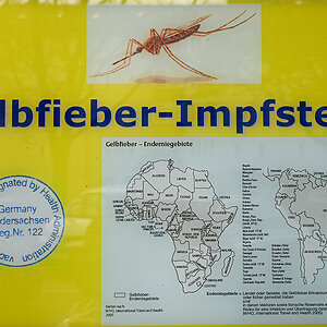 Gelbfieber-Impfstelle.jpg