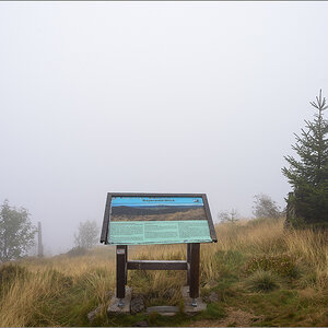 D75_9982.jpg