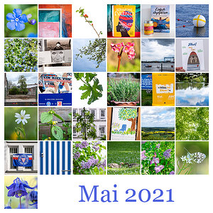 Mosaik Mai 2021