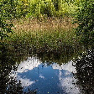Mühlenteich (1 von 1).JPG