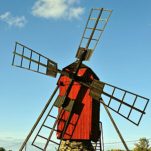 DSC_7795.jpg