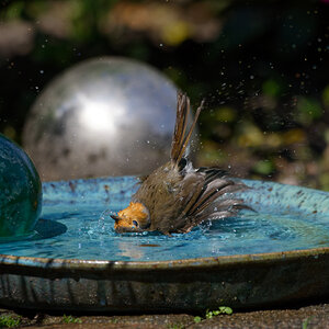 D72_6307_DxO.jpg