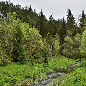 DSC_6469.JPG