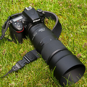 Tamron 100-400  (1 von 1).JPG