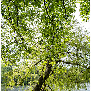 256 Schrevenpark Maisonne II
