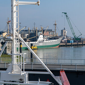 AL557-6.jpg