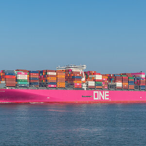 AL557-11.jpg