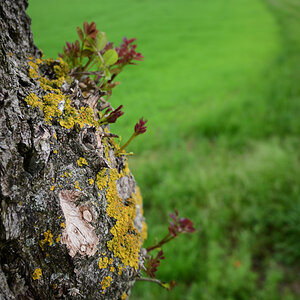 Z50_0477.JPG