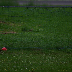 Z50_0627.JPG