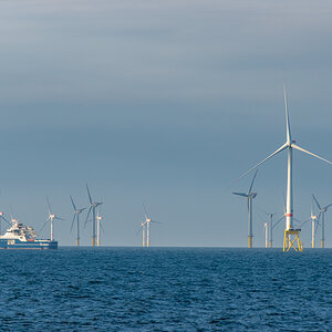 AL557-50.jpg