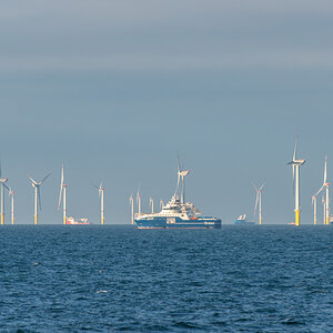 AL557-52.jpg