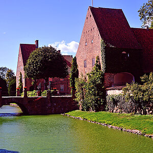 DSC_7821.jpg