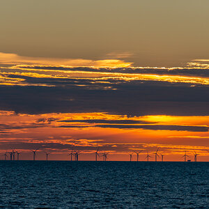 AL557-54.jpg