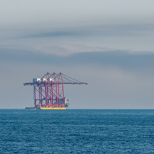 AL557-64.jpg