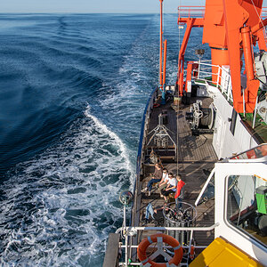 AL557-66.jpg