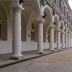 D60_2865.jpg