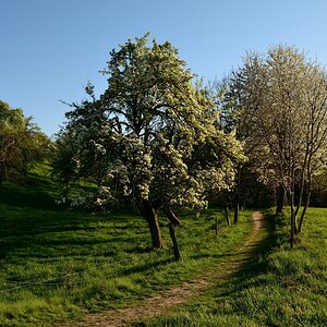 DSC_5896_00001 (2)n.jpg