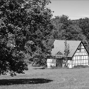 D75_0208.jpg
