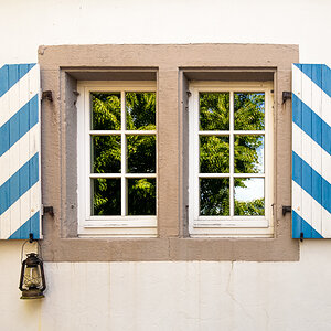 Fenster, Baum, Spiegelung