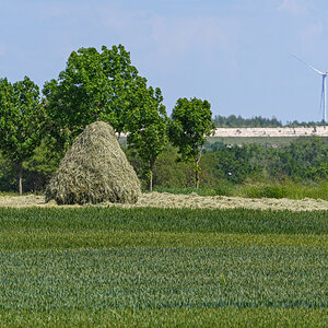 OF5_12083.jpg