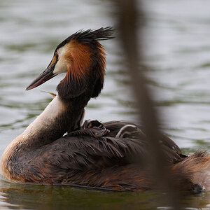 Z7II_400_2.8-DSC_0648.jpg
