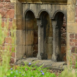 DSC_2055_00001_01n.jpg