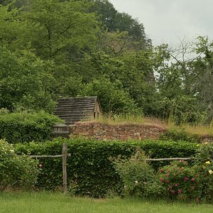 DSC_2056_00001_01n.jpg